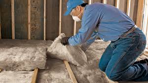 Best Insulation Removal  in Swannanoa, NC